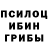 Псилоцибиновые грибы прущие грибы Tatiana Pasichnyk