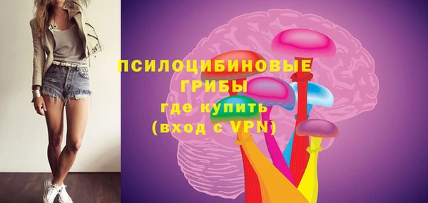 МДПВ Алзамай