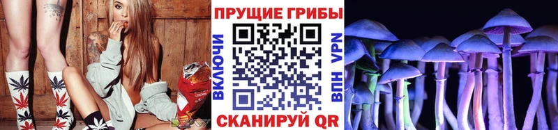 Псилоцибиновые грибы мухоморы  Светлоград 